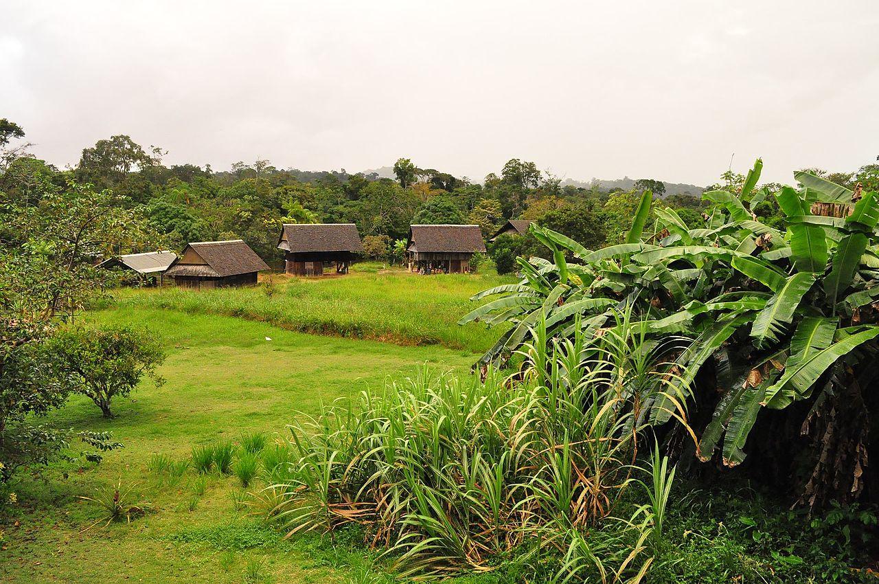 French Guiana